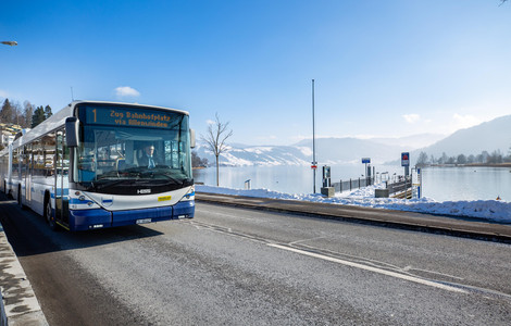 Bus neben See am fahren