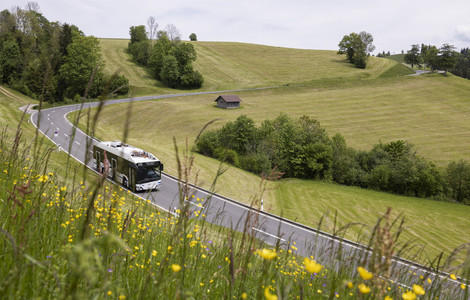 ZVB Bus beim Raten